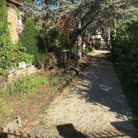 Appartement Fond De Jardin 1 Etage Palaiseau Dış mekan fotoğraf