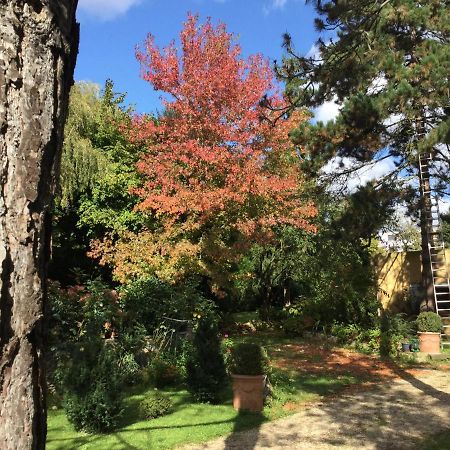 Appartement Fond De Jardin 1 Etage Palaiseau Dış mekan fotoğraf