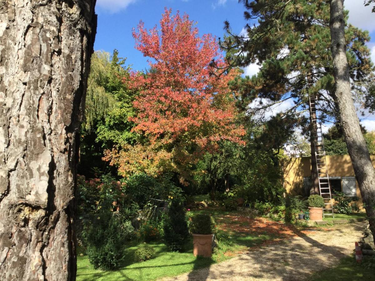 Appartement Fond De Jardin 1 Etage Palaiseau Dış mekan fotoğraf